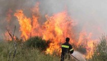 Ηλεία: Πυρκαγιά σε αγροτοδασική έκταση στη Βάρδα