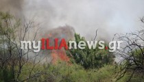 Πυροσβεστική: 27 αγροτοδασικές πυρκαγιές σε 24 ώρες