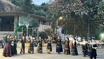 Νέα Φιγαλεία: Με επιτυχία πραγματοποιήθηκε το 2ο Φεστιβάλ Παραδοσιακών Χορών [PHOTOS]