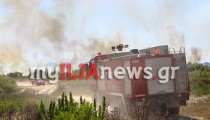 Ηλεία: Υψηλός κίνδυνος πυρκαγιάς την Κυριακή 9/8 [ΧΑΡΤΗΣ]