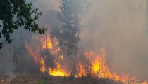 «Υπήρχε μια μπάλα φωτιάς»: Στο έλεος της πύρινης λαίλαπας Γαλλία και Ισπανία -Το διπλό μέτωπο στη Μαδρίτη συγχωνεύθηκε