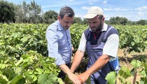 Ο Ανδρέας Νικολακόπουλος επισκέφθηκε άμεσα τις πληγείσες αγροτικές περιοχές [PHOTOS]