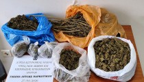Αρχαία Ολυμπία: Σύλληψη άνδρα για διακίνηση ναρκωτικών - Κατασχέθηκε περίπου 1 κιλό κάνναβης