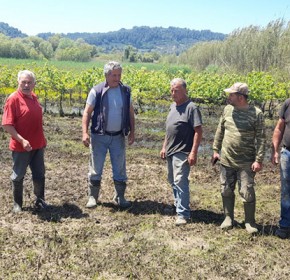 Δήμος Ανδρίτσαινας-Κρεστένων: Εκτεταμένες καταστροφές δημιούργησαν οι πλημμύρες στο κάμπο Μακρισίων [PHOTOS]