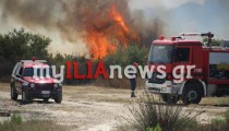 Επιμένει ο υψηλός κίνδυνος για πυρκαγιά σε Αχαΐα και Ηλεία