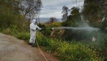 Εκτεταμένες παρεμβάσεις καταπολέμησης κουνουπιών σε όλη την Ηλεία από την Περιφέρεια Δυτικής Ελλάδας [PHOTOS]