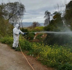 Εκτεταμένες παρεμβάσεις καταπολέμησης κουνουπιών σε όλη την Ηλεία από την Περιφέρεια Δυτικής Ελλάδας [PHOTOS]