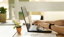 ΑΑΔΕ: Άνοιξε το σύστημα υποβολής μεταβιβάσεων δικαιωμάτων βασικής εισοδηματικής στήριξης για τη βιωσιμότητα για το έτος ενίσχυσης 2026