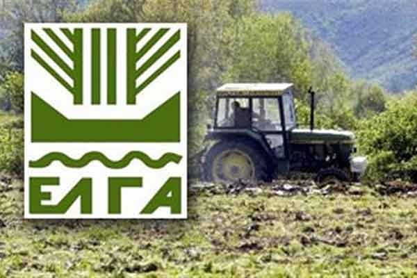 Ηλεία: Αποζημιώνει σήμερα ο ΕΛΓΑ - Πάνω από 1,7 εκατ. ευρώ στους δικαιούχους