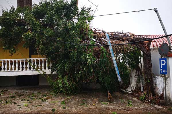 244704607 4425881524194272 6046281995338862230 n