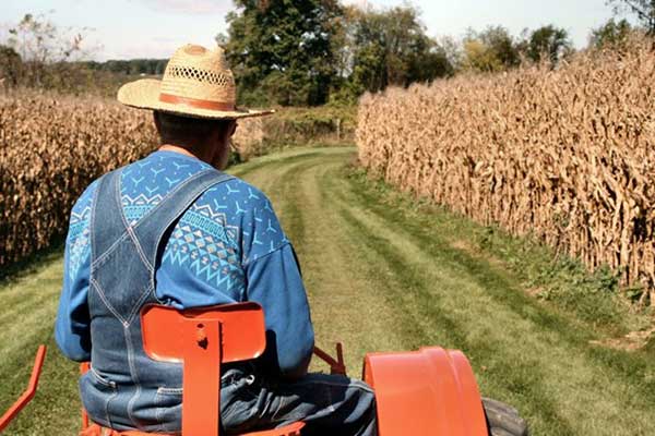 Παγώνει ο «κόφτης» στις συντάξεις των αγροτών 