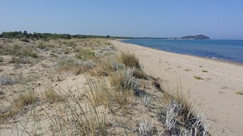 12938256 1061469743894651 41697549620494165 n