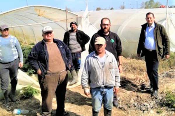 BASILOPOYLOS-MYRSINH-