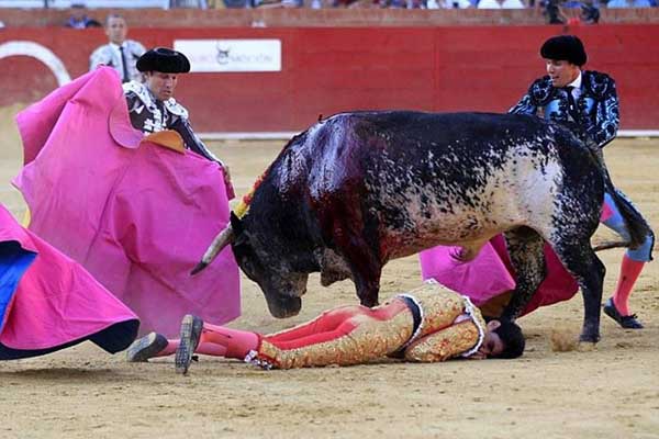 Τρόμος σε ταυρομαχίες: Διάσημος ταυρομάχος έπεσε νεκρός μετά από επίθεση του ταύρου (Video-Photos)