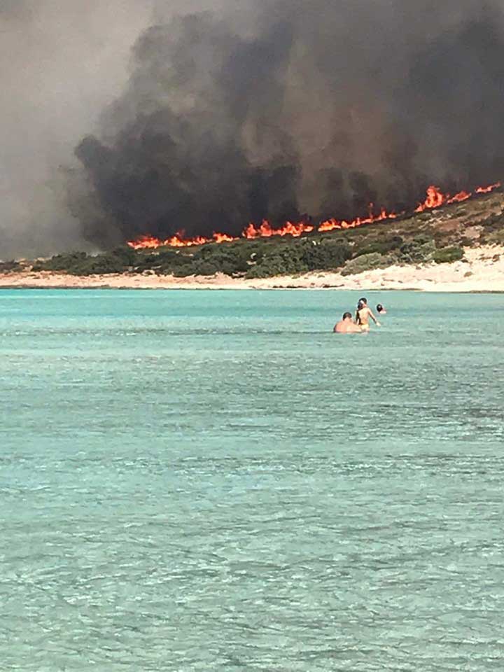 2 252863 164863 type13260