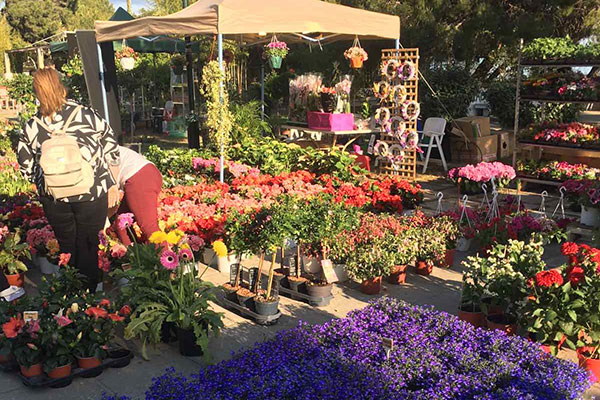 436602673 122145468614177802 7772980680376202408 n