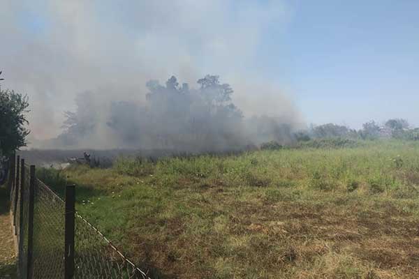 67824081 2327463424185295 9109124549571510272 n