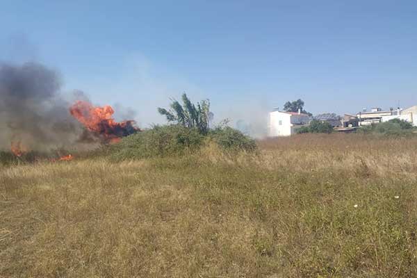 67895937 2327463944185243 9028416711010811904 n