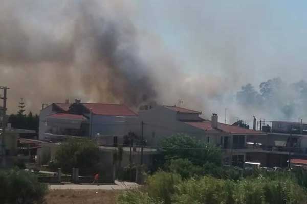 68420871 2327463284185309 4970274019086434304 n