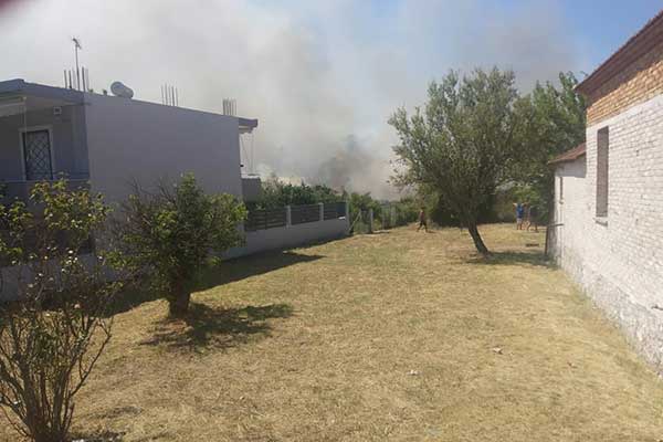 68821130 2327463680851936 4208169915368079360 n