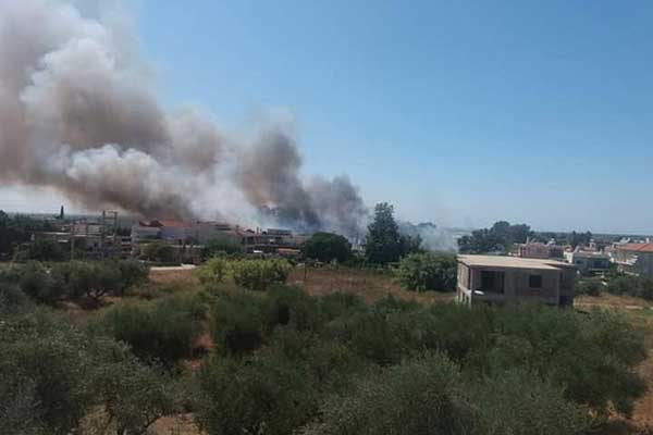 68945155 2327463204185317 3568818455165534208 n