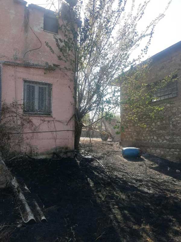 119127613 3360689570683189 4642949073455138296 n