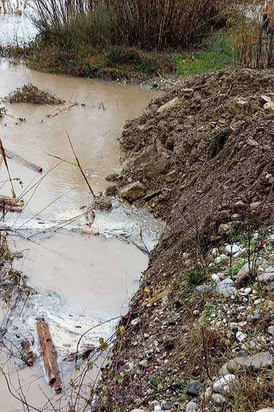 49344913 10215671613361384 1319656314040745984 n