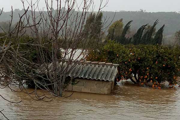 49351434 10215665478728022 6423956814823424000 n