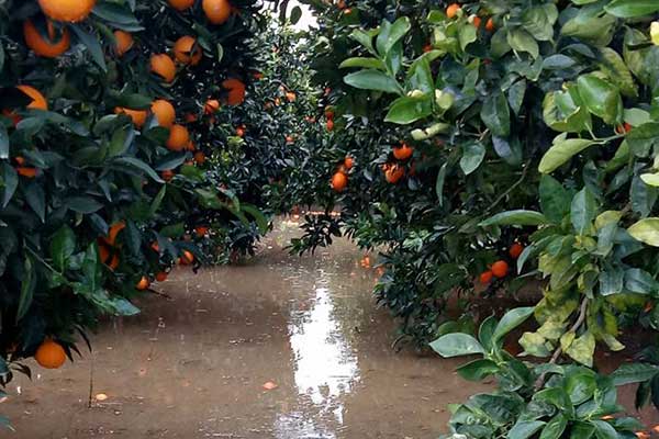 49633349 10215665480128057 58430659240132608 n