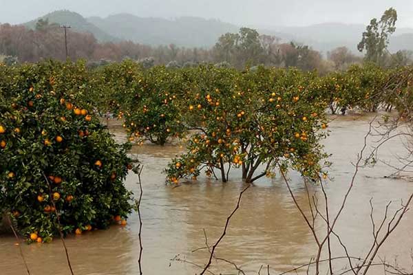 49652229 10215665479088031 5516146791696826368 n