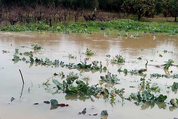 49702381 10215671611441336 2877928675901177856 n