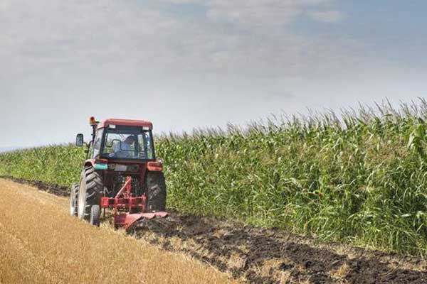 ΟΠΕΚΕΠΕ: Πώς θα φορολογούνται πλέον οι αγροτικές επιδοτήσεις