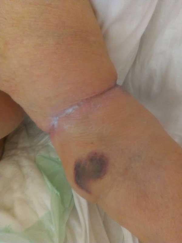 60027949 582543432240408 2428628736862584832 n