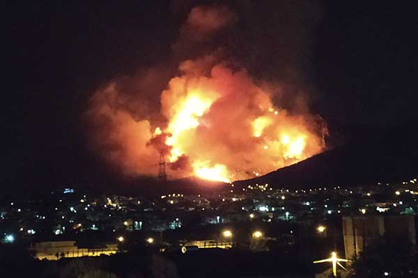 c2918618-3b33-40b6-aa29-60908c95c8e3 252863 165070 type13260