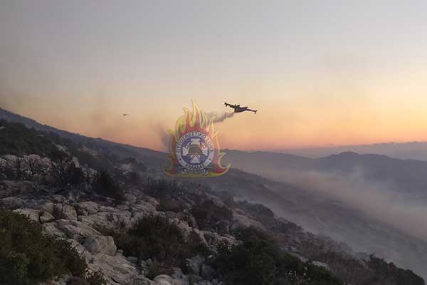 ebvxwm0wwaias9t-1 252863 165068 type13260