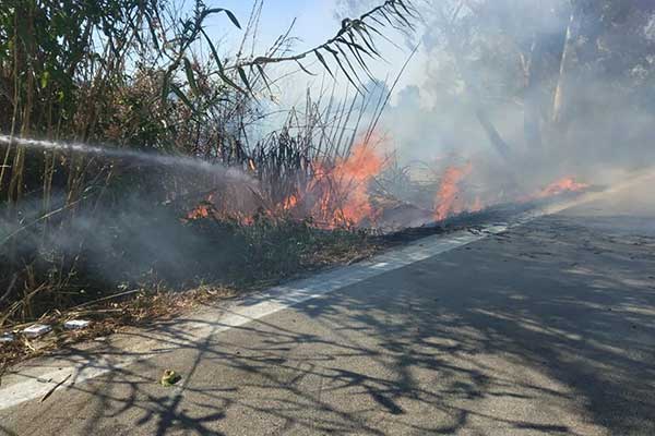 119226365 2652199431711691 6612769852322604441 n