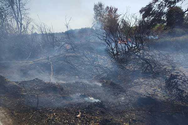 119226612 2652198275045140 1496683333153362204 n