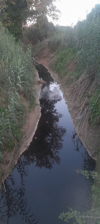 Messenger creation 3A962D05 025E 4635 ABAF 93EFC04BF574