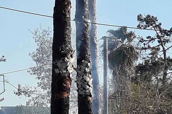 159620707 3528176720645008 8552605893260049437 n