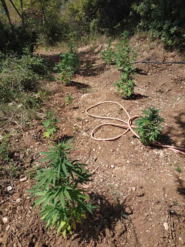 13092019dytellakan001