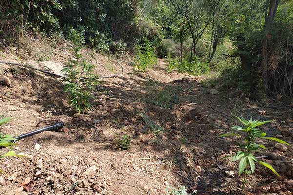 13092019dytellakan002