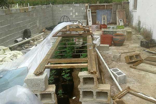 14052019dytkannabi003