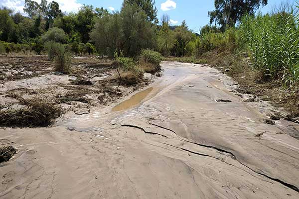 20210914-ΚΑΘΑΡΙΣΜΟΙ-12