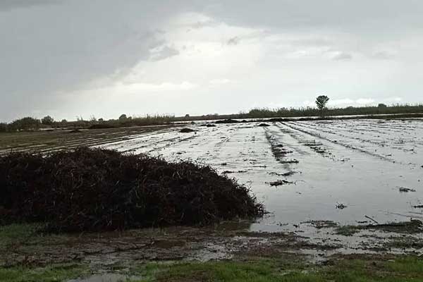 245251542 3905525469548445 2008295613007319779 n