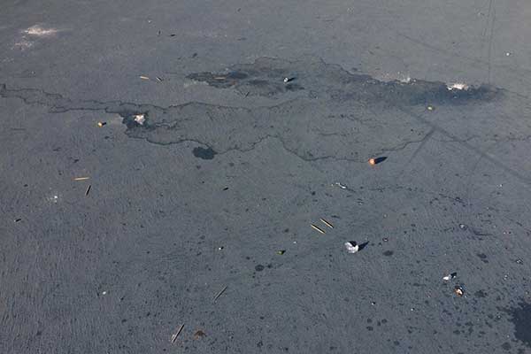 36944741 2087766001544360 4234849449051947008 n