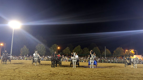 Messenger creation 6CC105AF CE6D 4889 B6A7 1F1A9F6E284C