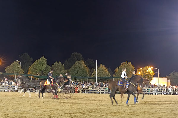 Messenger creation CD31CD42-777A-4C8F-9E69-9468D2628395