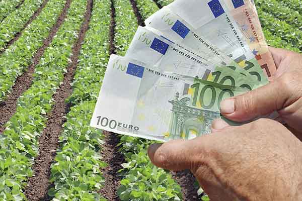 Αποστόλου: Έως τις 25 Οκτωβρίου η άμεση καταβολή του ποσού των ενισχύσεων σε δικαιούχους