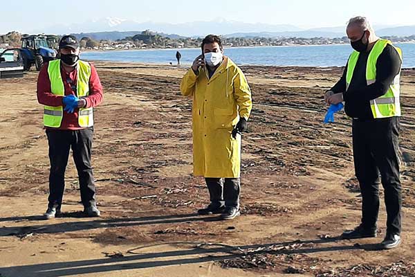 139541726 1112043782600737 4842808054231817201 n