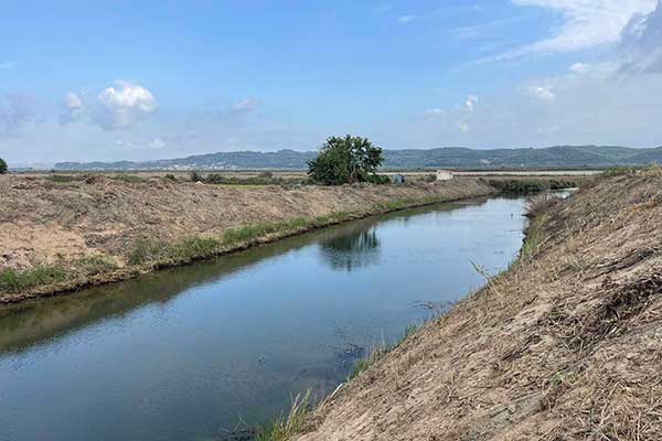 175---Τ19--ΕΠΙΤΑΛΙΟ